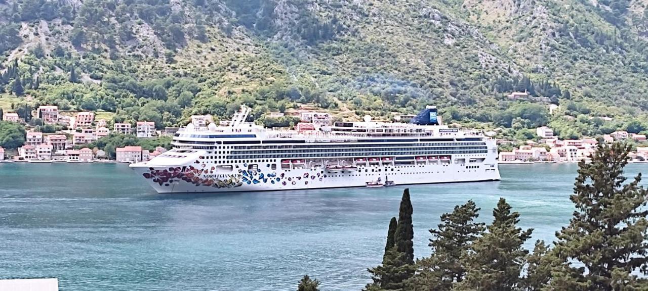 Apartments Peranovic Κότορ Εξωτερικό φωτογραφία